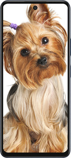 Силиконовый чехол Йоркширский терьер с хвостиком для Infinix Hot 50 5G - 930u-3795 изображение 