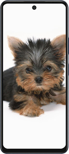 Силиконовый чехол Щенок йоркширского терьера для Infinix Hot 50 5G - 931u-3795 изображение 