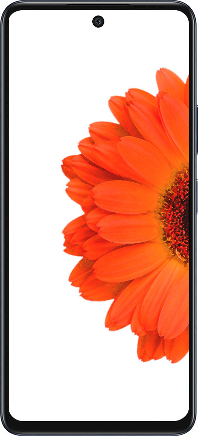 Силиконовый чехол Гербера 1 для Infinix Hot 50 5G - 4534u-3795 изображение 