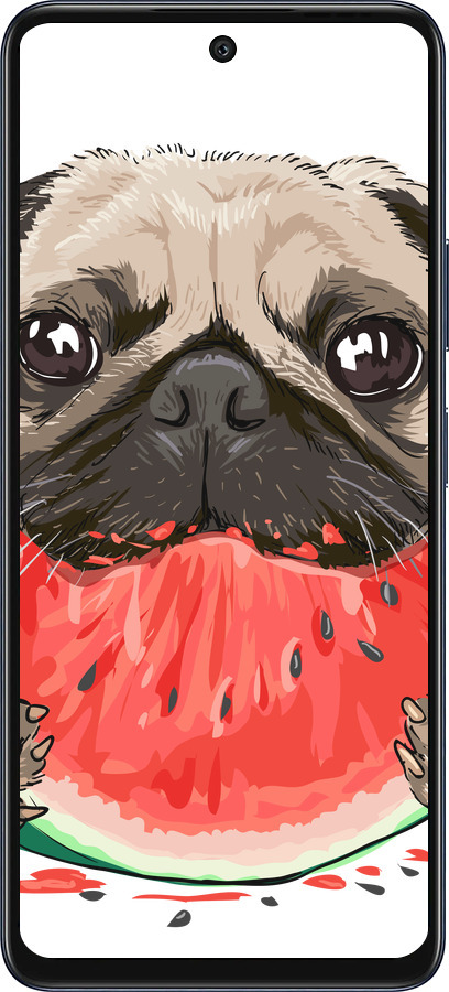 Силиконовый чехол Мопс и арбуз для Infinix Hot 50 5G - 4665u-3795 изображение 