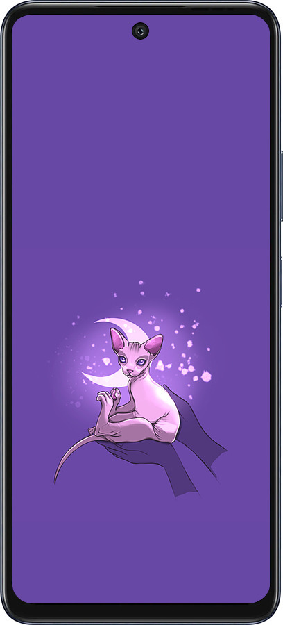 Силиконовый чехол Кот2 для Infinix Hot 50 5G - 4676u-3795 изображение 