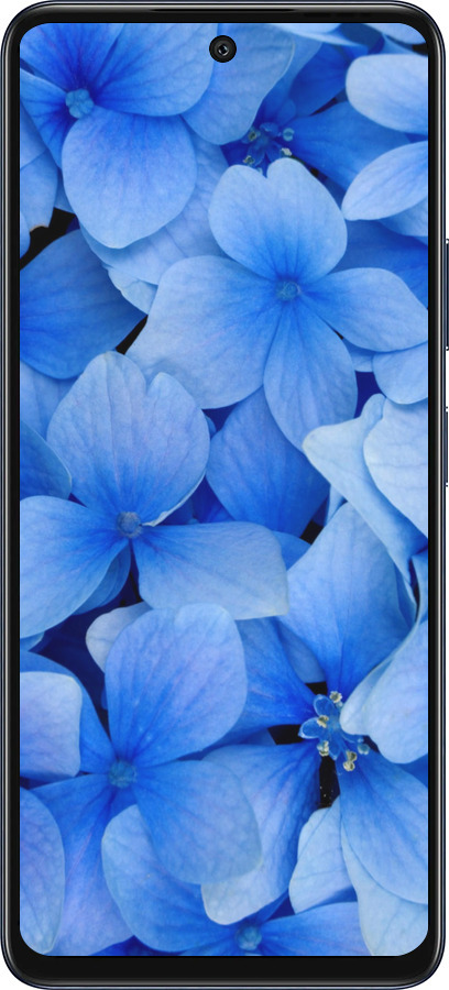 Силиконовый чехол Синие цветы для Infinix Hot 50 5G - 526u-3795 изображение 