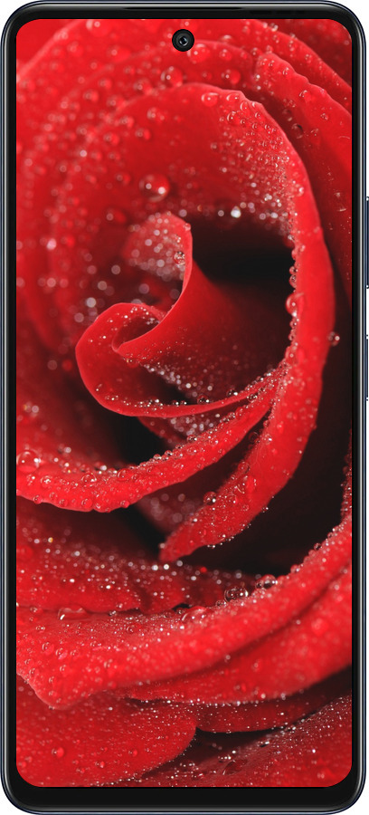 Силиконовый чехол Красная роза для Infinix Hot 50 5G - 529u-3795 изображение 