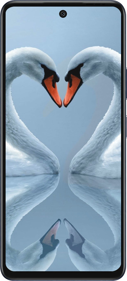 Силиконовый чехол Лебеди для Infinix Hot 50 5G - 6007u-3795 изображение 