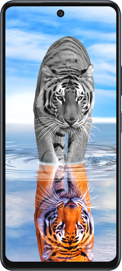 Силіконовий чехол Тигр для Infinix Hot 50 5G - 6016u-3795 изображение 