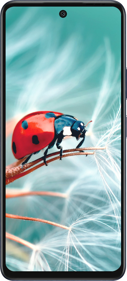 Силиконовый чехол Божья коровка для Infinix Hot 50 5G - 6049u-3795 изображение 