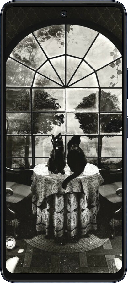 Силиконовый чехол Череп и коты для Infinix Hot 50 5G - 6432u-3795 изображение 