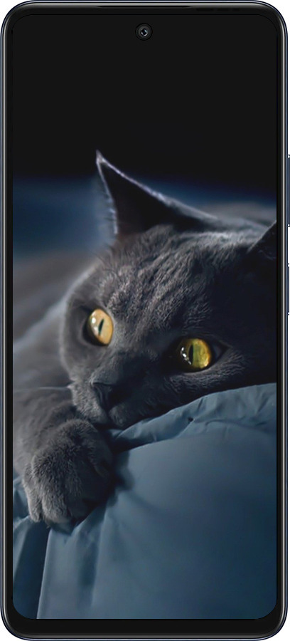 Силиконовый чехол Дымчатый кот для Infinix Hot 50 5G - 825u-3795 изображение 