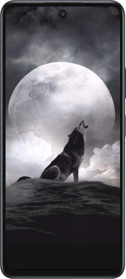 Силиконовый чехол Воющий волк для Infinix Hot 50 5G - 934u-3795 изображение 