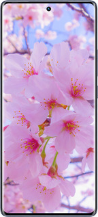 Силіконовий чехол Сакура для Infinix Hot 50 Pro+ 4G - 6029u-3870 изображение 