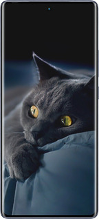 Силіконовий чехол Димчастий кіт для Infinix Hot 50 Pro+ 4G - 825u-3870 изображение 