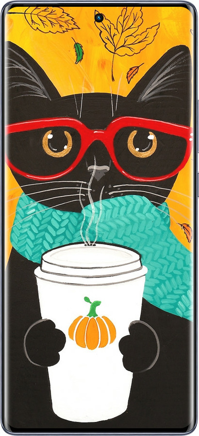 Силиконовый чехол Осенний кот для Infinix Hot 50 Pro+ 4G - 4026u-3870 изображение 