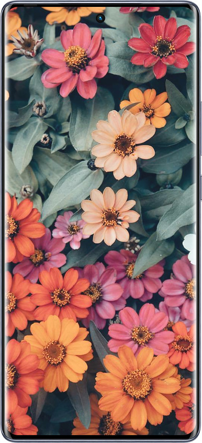Силіконовий чехол Beauty flowers для Infinix Hot 50 Pro+ 4G - 4050u-3870 изображение 