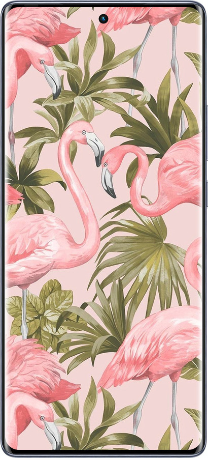 Силіконовий чехол Фламінго 2 для Infinix Hot 50 Pro+ 4G - 4360u-3870 изображение 