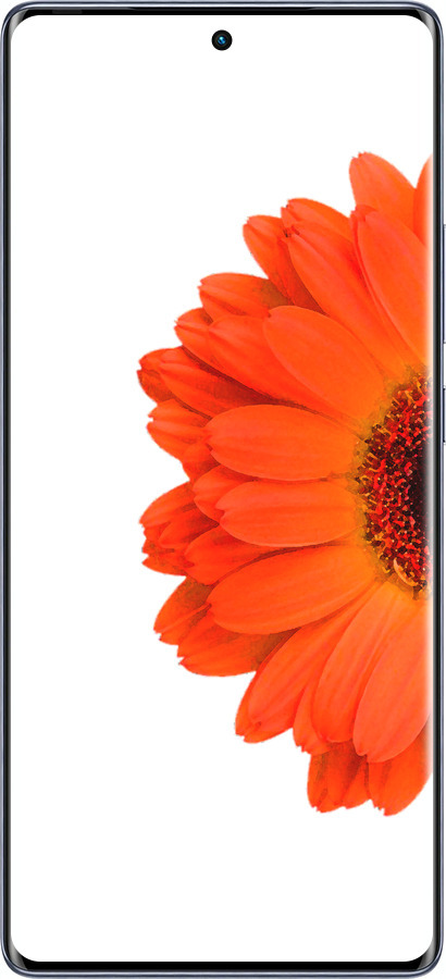 Силиконовый чехол Гербера 1 для Infinix Hot 50 Pro+ 4G - 4534u-3870 изображение 