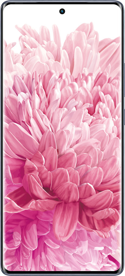Силиконовый чехол Хризантема для Infinix Hot 50 Pro+ 4G - 4666u-3870 изображение 