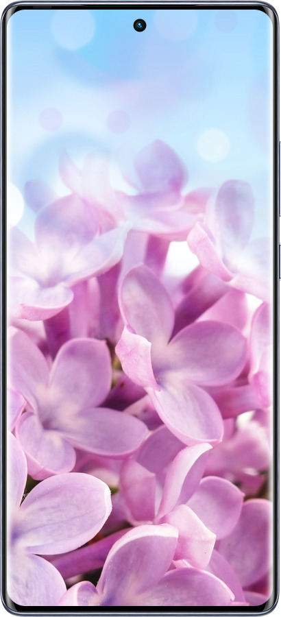 Силиконовый чехол Сирень для Infinix Hot 50 Pro+ 4G - 527u-3870 изображение 