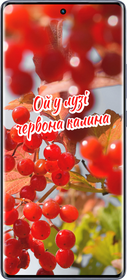 Силиконовый чехол Калина для Infinix Hot 50 Pro+ 4G - 5454u-3870 изображение 