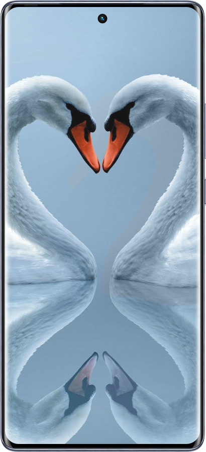 Силиконовый чехол Лебеди для Infinix Hot 50 Pro+ 4G - 6007u-3870 изображение 
