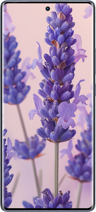 Силиконовый чехол Лаванда для Infinix Hot 50 Pro+ 4G - 6037u-3870 изображение 