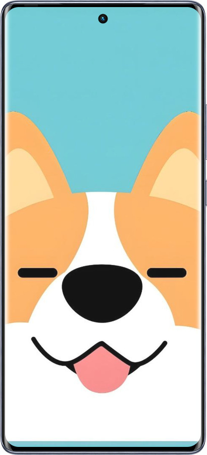 Силиконовый чехол Корги для Infinix Hot 50 Pro+ 4G - 6280u-3870 изображение 