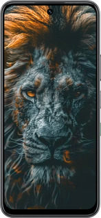 Силиконовый чехол Лев в сумерках для Infinix Hot 60 5G / Hot 60i 4G - 6154u-4114 изображение 