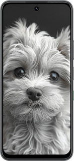 Силиконовый чехол Мальтипу на чорном фоне для Infinix Hot 60 5G / Hot 60i 4G - 6156u-4114 изображение 