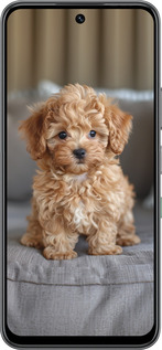 Силиконовый чехол Mini-maltipoo для Infinix Hot 60 5G / Hot 60i 4G - 6158u-4114 изображение 