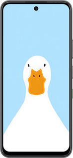 Силиконовый чехол Гусь для Infinix Hot 60 5G / Hot 60i 4G - 6350u-4114 изображение 