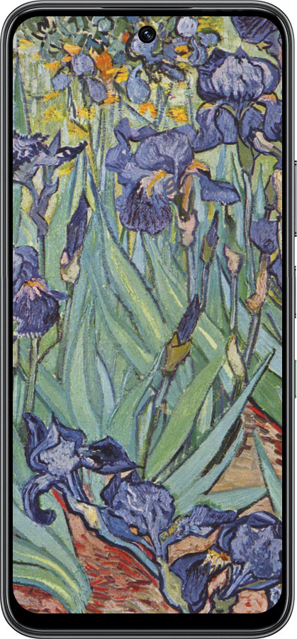 Силиконовый чехол Винсент Ван Гог. Ирисы для Infinix Hot 60 5G / Hot 60i 4G - 161u-4114 изображение 