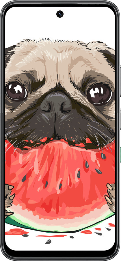 Силиконовый чехол Мопс и арбуз для Infinix Hot 60 5G / Hot 60i 4G - 4665u-4114 изображение 