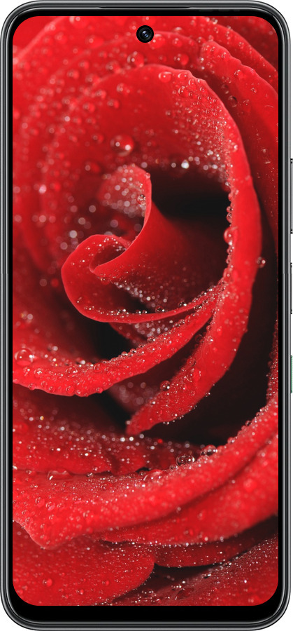 Силиконовый чехол Красная роза для Infinix Hot 60 5G / Hot 60i 4G - 529u-4114 изображение 