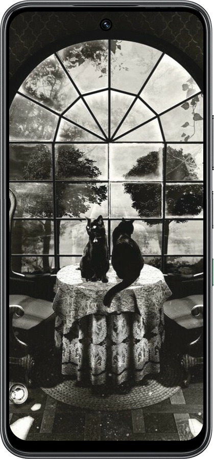 Силиконовый чехол Череп и коты для Infinix Hot 60 5G / Hot 60i 4G - 6432u-4114 изображение 