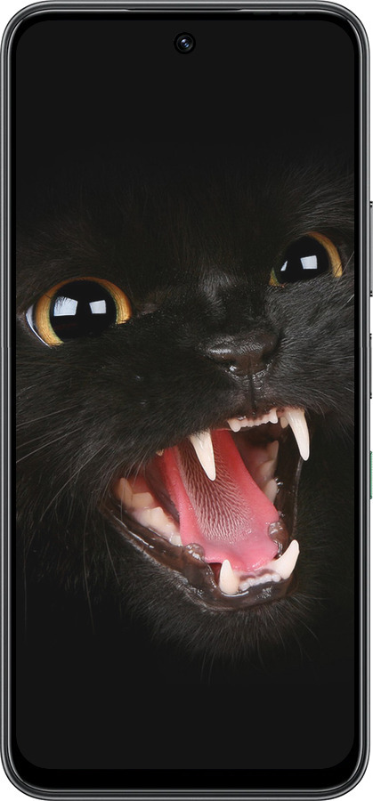 Силиконовый чехол Чёрная кошка для Infinix Hot 60 5G / Hot 60i 4G - 932u-4114 изображение 