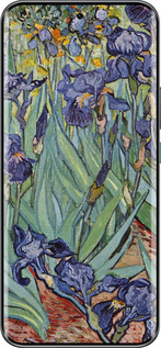 Силиконовый чехол Винсент Ван Гог. Ирисы для Infinix Hot 60 Pro+ - 161u-4125 изображение 