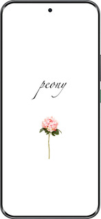 Силиконовый чехол Пион для Infinix Hot 60 Pro+ - 4366u-4125 изображение 