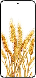Силіконовий чехол Колоски пшениці для Infinix Hot 60 Pro+ - 5866u-4125 изображение 