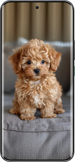 Силиконовый чехол Mini-maltipoo для Infinix Hot 60 Pro+ - 6158u-4125 изображение 