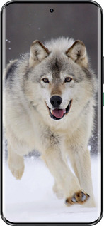 Силиконовый чехол Бегущий волк для Infinix Hot 60 Pro+ - 826u-4125 изображение 