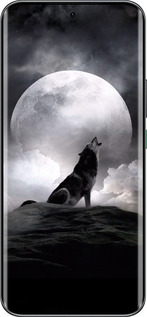 Силиконовый чехол Воющий волк для Infinix Hot 60 Pro+ - 934u-4125 изображение 