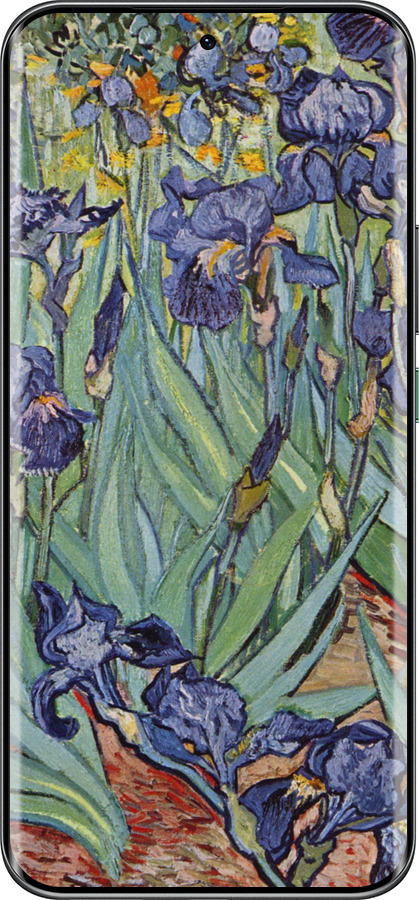Силиконовый чехол Винсент Ван Гог. Ирисы для Infinix Hot 60 Pro+ - 161u-4125 изображение 