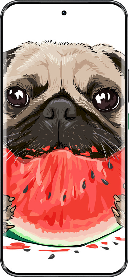 Силиконовый чехол Мопс и арбуз для Infinix Hot 60 Pro+ - 4665u-4125 изображение 