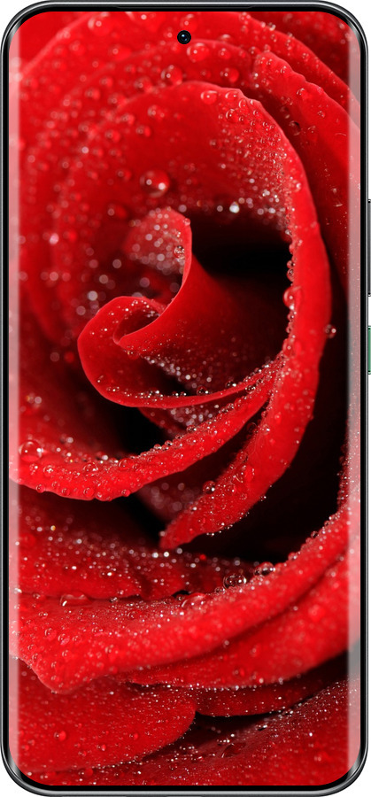 Силиконовый чехол Красная роза для Infinix Hot 60 Pro+ - 529u-4125 изображение 