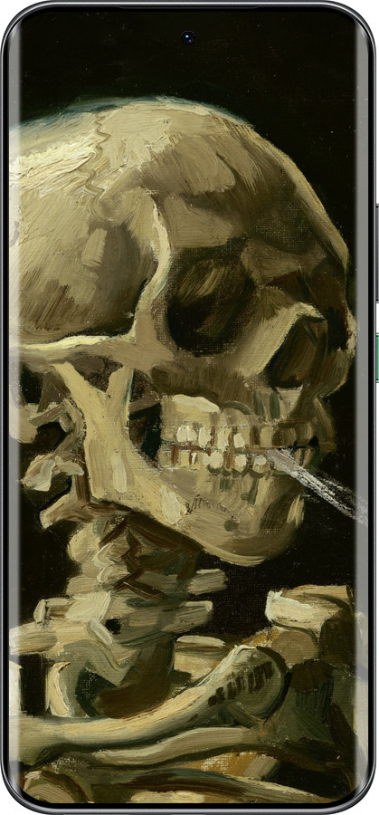 Силиконовый чехол Винсент Ван Гог. Череп для Infinix Hot 60 Pro+ - 5544u-4125 изображение 