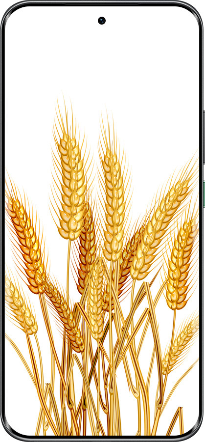 Силіконовий чехол Колоски пшениці для Infinix Hot 60 Pro+ - 5866u-4125 изображение 