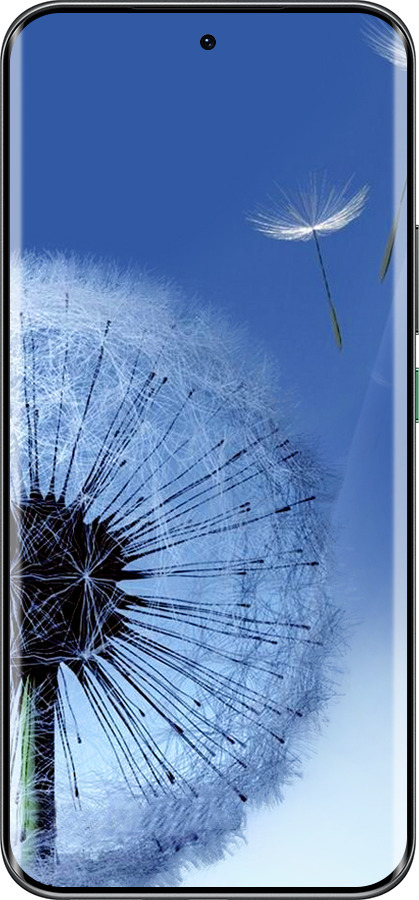 Силиконовый чехол Одуванчик для Infinix Hot 60 Pro+ - 6005u-4125 изображение 