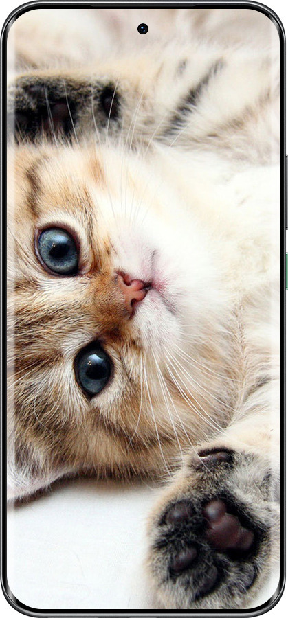 Силиконовый чехол Котик для Infinix Hot 60 Pro+ - 6024u-4125 изображение 