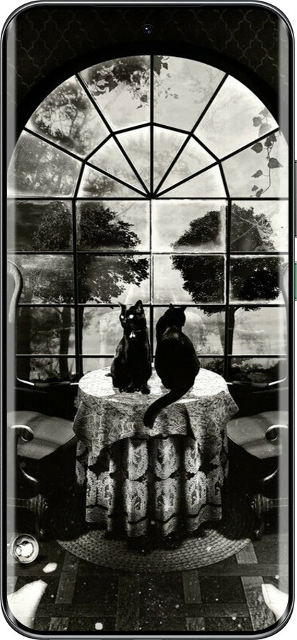 Силиконовый чехол Череп и коты для Infinix Hot 60 Pro+ - 6432u-4125 изображение 