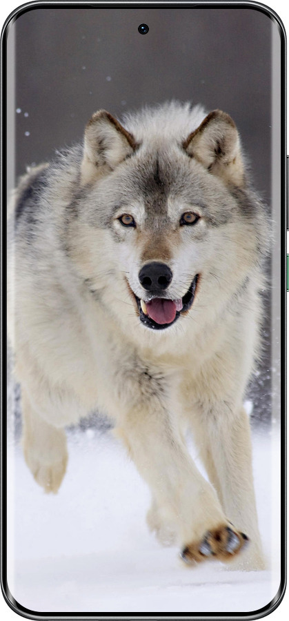 Силиконовый чехол Бегущий волк для Infinix Hot 60 Pro+ - 826u-4125 изображение 