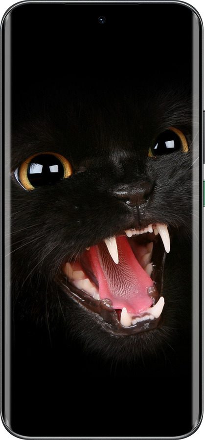 Силиконовый чехол Чёрная кошка для Infinix Hot 60 Pro+ - 932u-4125 изображение 